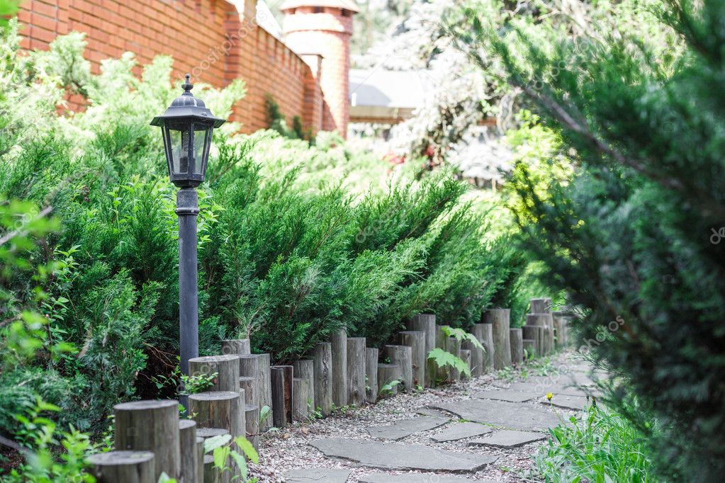 Landscape design, evergreen bushes and path — Stock Photo © Milkos