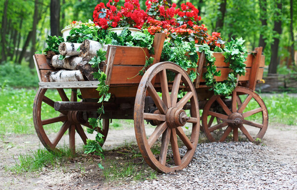 The cart with scarlet red geranium flowers in park