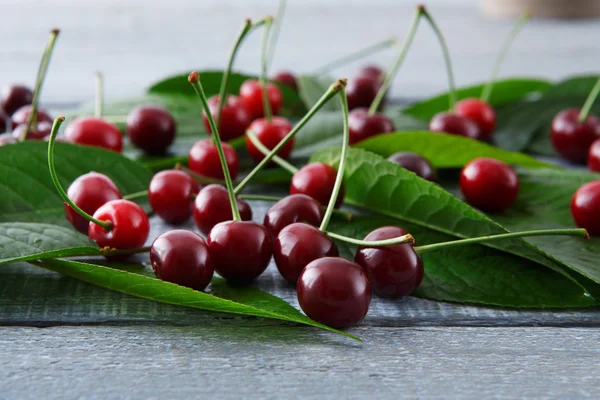 Sweet fresh cherries with green leaves on blue rustic wood — Stock Photo, Image