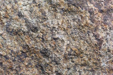 Doğal ağaç kabuğu tahta doku arka plan