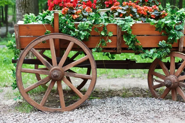 The cart with scarlet red geranium flowers in park — Stock Image The cart with scarlet red geranium flowers in park Royalty Free Stock Photos