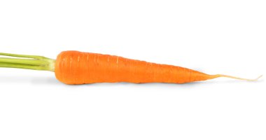 Carrot vegetable isolated clipart