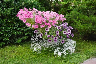 Parlak pembe çiçekli flowerbed sepeti.