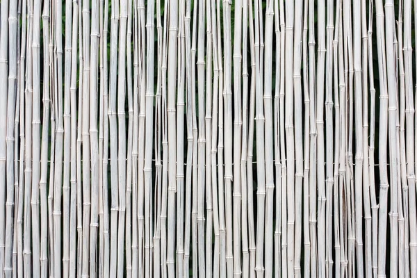 White bamboo fence texture background — Stock fotografie