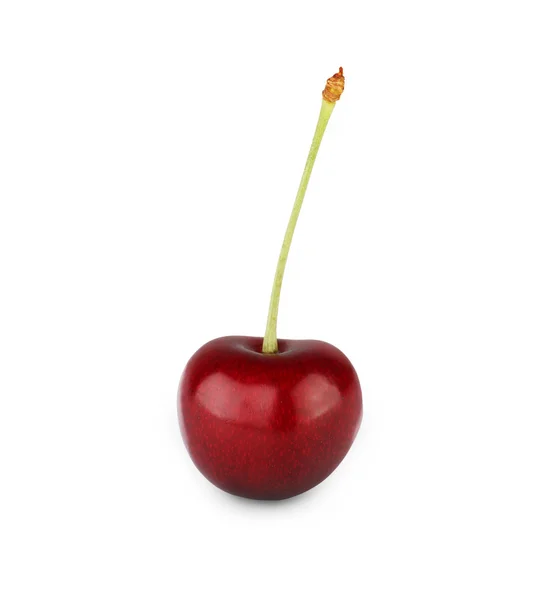 Fresh ripe cherry closeup isolated on white background — Stock Photo, Image