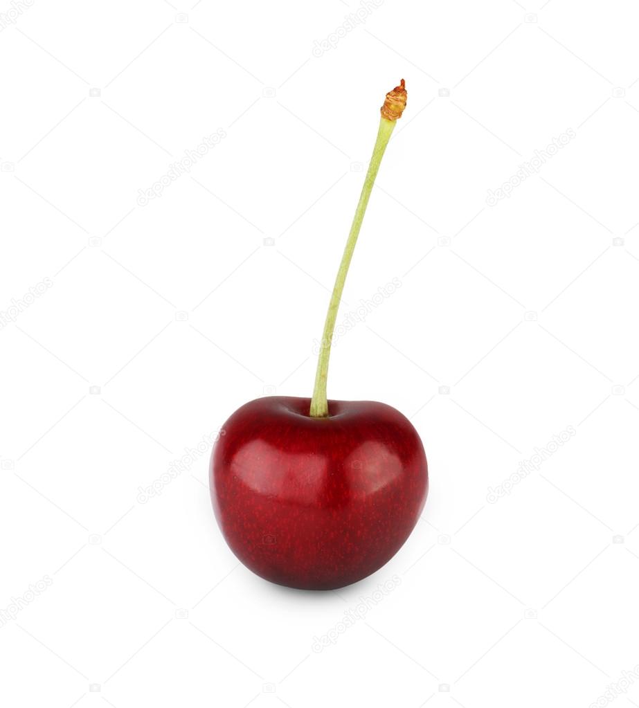 Milkos