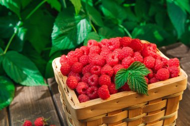 Ahududu Bahçe ahşap masa bush yakınındaki sepetle