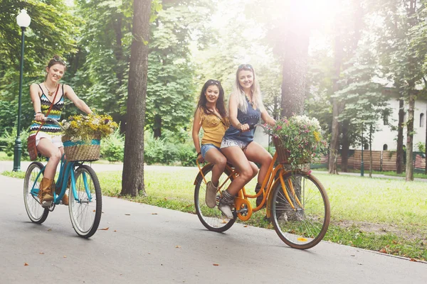 Boho feliz meninas chiques passeio juntos em bicicletas no parque — Fotografia de Stock