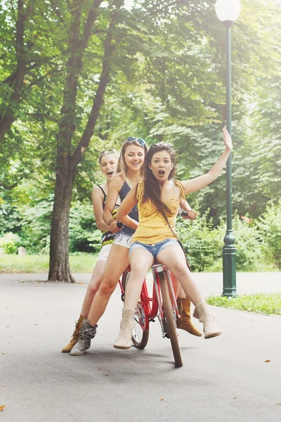 Felice boho chic ragazze cavalcare insieme su biciclette nel parco — Foto Stock