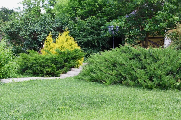 Peyzaj tasarımı, yaprak dökmeyen çalılar ve yol — Stok fotoğraf