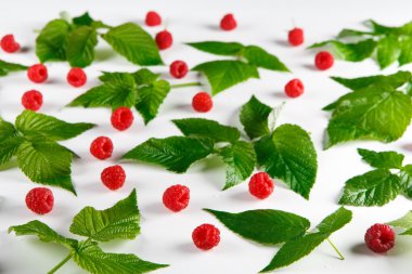 Kırmızı taze Ahududu ve beyaz arka plan yapraklarda