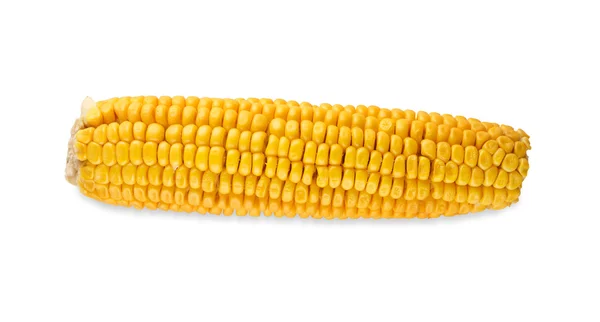 One yellow corncob or corn isolated on white background — Stock Photo, Image