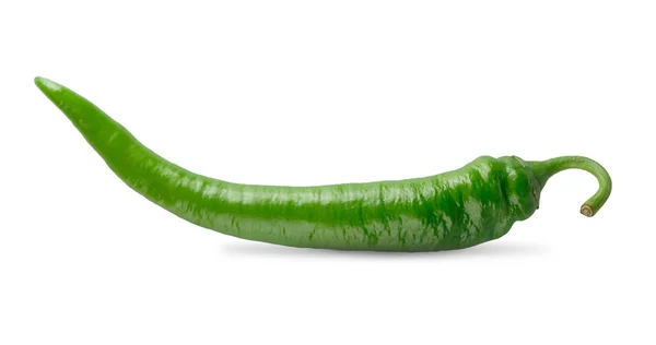 Uma pimenta verde close-up isolado no fundo branco — Fotografia de Stock