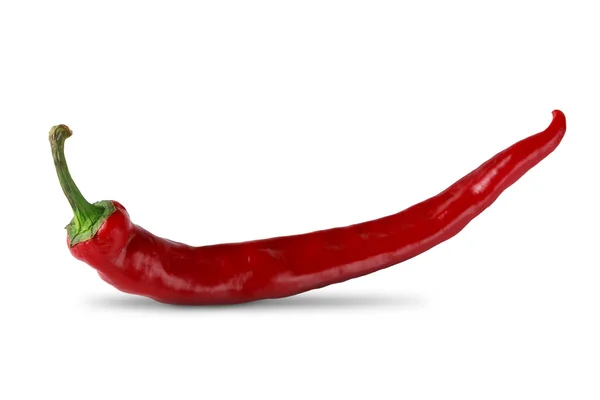 Jedna červená chili pepper closeup izolovaných na bílém pozadí — Stock fotografie