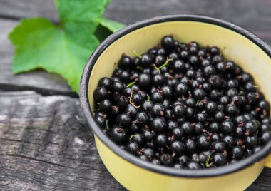 Rustik ahşap arka plan üzerinde pot siyah kuş üzümü closeup