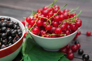 Kase rustik ahşap arka plan üzerinde siyah ve kırmızı kuş üzümü