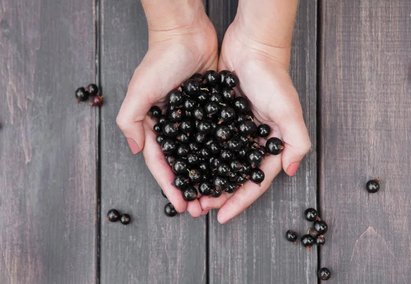 Frische schwarze Johannisbeeren in Frauenhand auf Holzhintergrund — Stockfoto