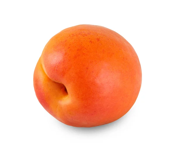 One ripe fresh apricot isolated on white background — Stock Photo, Image