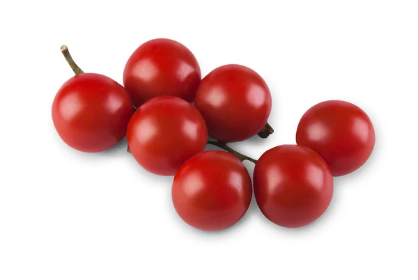 Tomates cerises rouges mûres branche isolée sur fond blanc — Photo