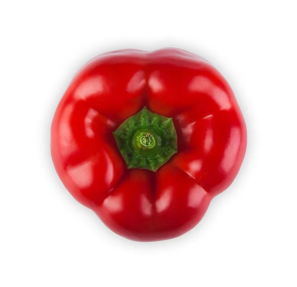 Jeden zralé čerstvé červené papriky izolovaných na bílém pozadí — Stock fotografie