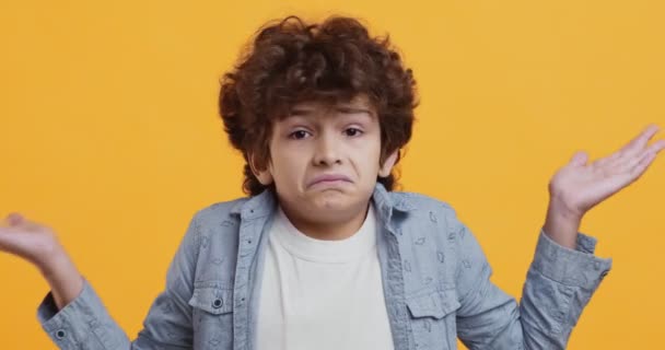 Studio portrait of unsure little curly boy shrugging shoulders and shaking head no, doubt concept — Stock Video