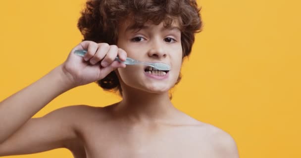 Orale hygiëne voor kinderen. close-up portret van kleine jongen zorgvuldig poetsen zijn tanden, tandheelkundige zorg gewoonten concept — Stockvideo