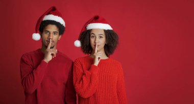 Gizli Noel Baba ve Yeni Yıl ve Noel Dile