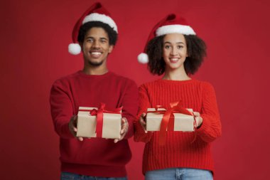 Aile için yeni yıl ve Noel hediyesi