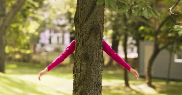 Oddanost přírodě. Ženské ruce objímající kmen stromu v parku — Stock video