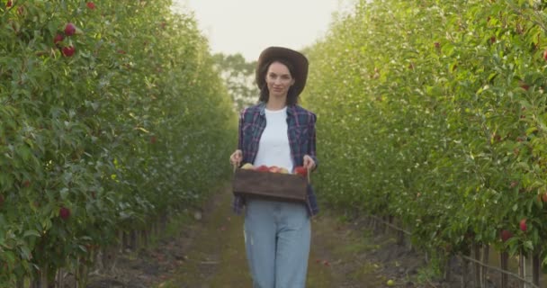 Mujer joven que lleva la caja de manzanas recién recogidas va en huerto con muchas frutas jugosas maduras, cámara lenta — Vídeos de Stock