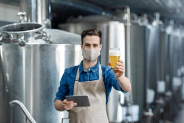 Önlük konusunda uzman bira bardağı tutuyor, bira fabrikası uzmanı bira kalitesini kontrol ediyor.