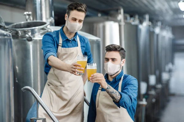 Два тисячоліття красиві чоловічі пивовари працюють на заводі з виробництва пива — стокове фото