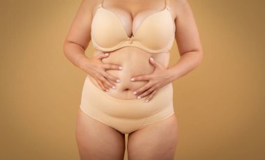 Obezite ve kilolu. Bej İç Çamaşırlı Artı Boyutlu Kadının Kesilmiş Portresi