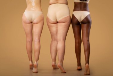 Farklı tipte iç çamaşırları olan üç kadının arka görünüşü.