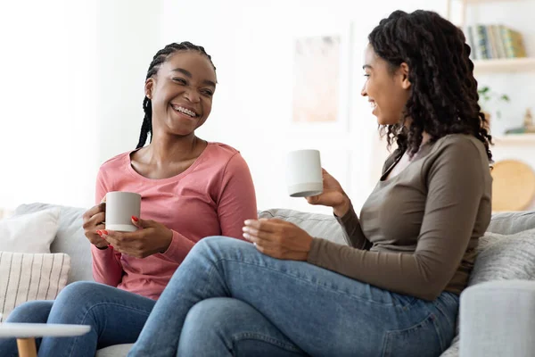 Zwei hübsche schwarze Damen trinken zu Hause Tee — Stockfoto