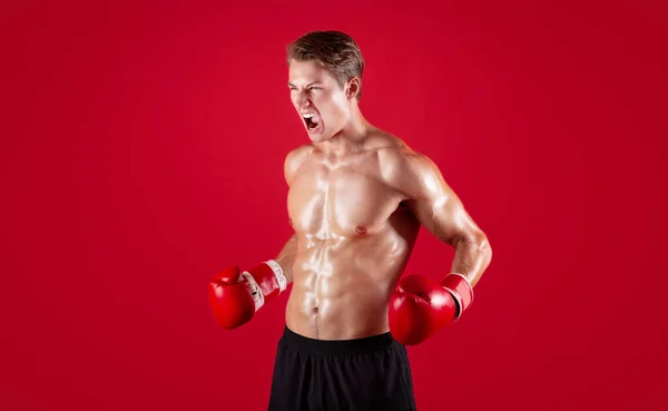 積極的な若いですスポーツマンでボクシング手袋叫んで怒りで赤いスタジオの背景 — ストック写真