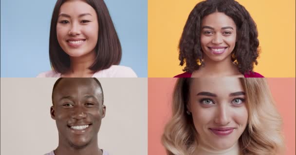 Collage de gente feliz y diversa del milenio sonriendo a la cámara sobre el colorido fondo del estudio — Vídeos de Stock