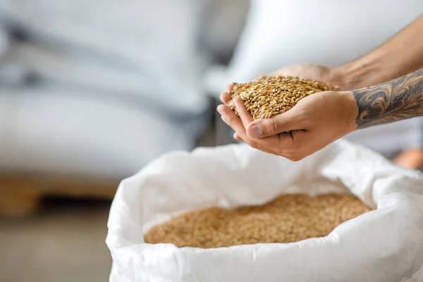 Hazırlık, başlangıç ve küçük işletmeler için organik tahıllar — Stok fotoğraf