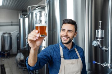Profesyonel bira fabrikası imalatta bardakta bira tadıyor.