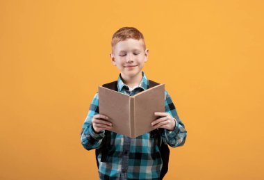 Kitap okuyan neşeli okul çocuğu, sarı stüdyo geçmişi