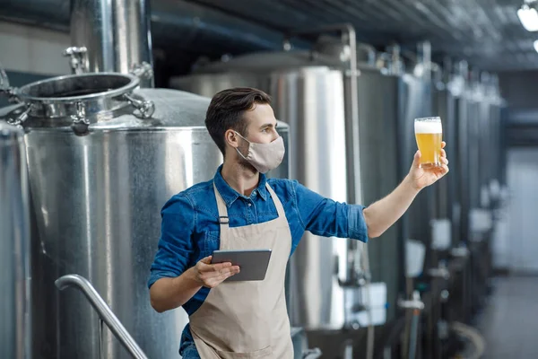 Controle de bebida, degustação e qualidade de cerveja na fábrica — Fotografia de Stock