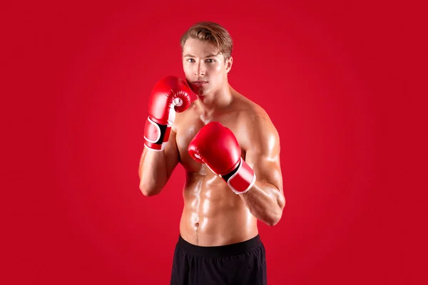Concepto deportivo profesional. Guapo joven boxeador sin camisa usando guantes sobre fondo rojo estudio — Foto de Stock
