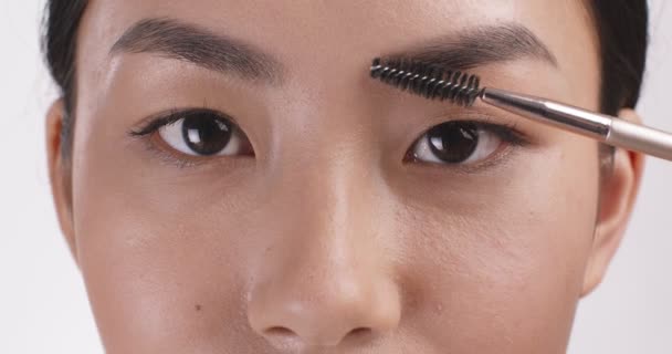 Laminación y peinado de cejas. Primer plano de la joven mujer asiática peinando sus cejas, mirando a la cámara — Vídeo de stock