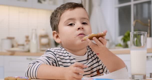 Retrato de cerca de un niño encantador comiendo galletas de jengibre caseras dulces, sentado en la cocina — Vídeos de Stock