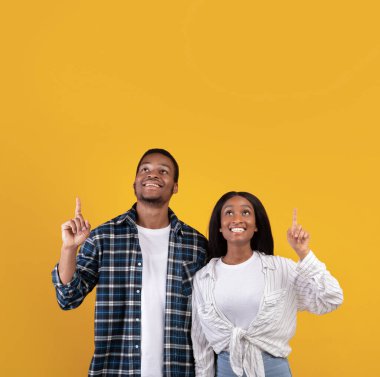 Harika bir reklam teklifi, büyük bir terfi ve satış.