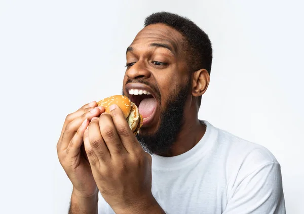 Hombre africano comiendo hamburguesa codiciosamente disfrutando de comida rápida sobre fondo blanco —  Fotos de Stock