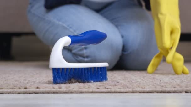 Professionele diepe reiniging. close-up shot van vrouw het aantrekken van rubber handschoenen en borstelen vuil tapijt — Stockvideo
