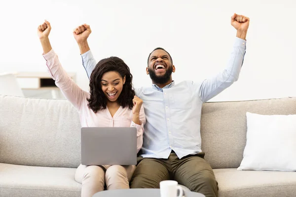 Black couple using laptop celebrating success shaking fists