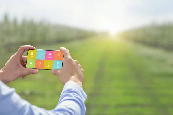 Agrónomo cultivo de plantas orgánicas, utilizando el teléfono móvil para controlar los parámetros de cultivo de la cosecha al aire libre. Jardín inteligente — Foto de Stock