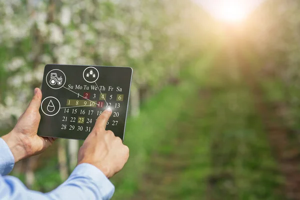 Tecnologías agrícolas inteligentes. Hombre agricultor planificación actividades de cultivo en el calendario, utilizando la almohadilla táctil al aire libre — Foto de Stock